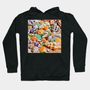 Seashells by the Seashore Hoodie